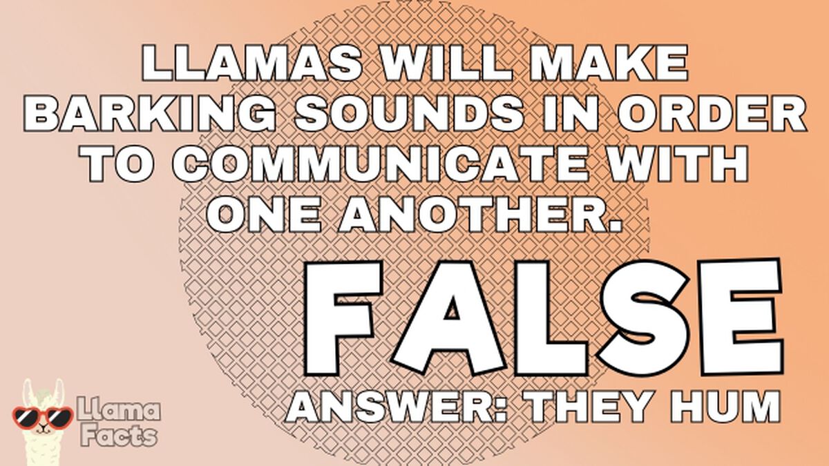 Llama Facts image number null